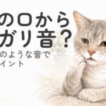 口元を気にするシニア猫を飼い主が見守るイメージ
