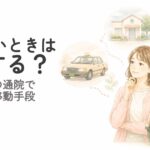 車がないときのシニア猫の通院方法を考える飼い主
