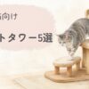 低めのキャットタワーにいるシニア猫をやさしく描いた比較記事のアイキャッチイラスト