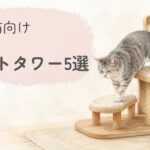 低めのキャットタワーにいるシニア猫をやさしく描いた比較記事のアイキャッチイラスト