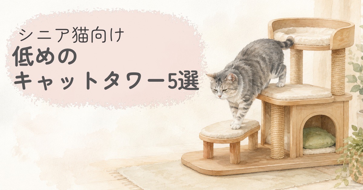 低めのキャットタワーにいるシニア猫をやさしく描いた比較記事のアイキャッチイラスト