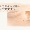 うんちのキレが悪いことに気づき、不安そうに床の小さなうんちを見るシニア猫のイラスト