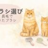 短毛猫と長毛猫、ブラシを並べた猫のブラシ選びのイラスト