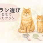 短毛猫と長毛猫、ブラシを並べた猫のブラシ選びのイラスト