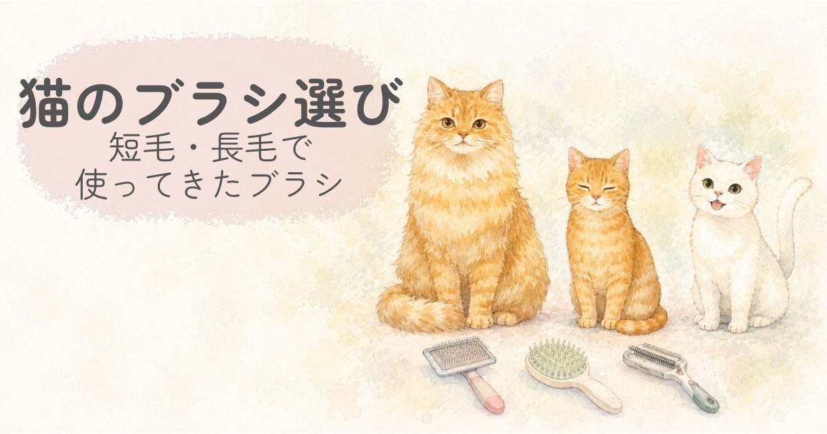 短毛猫と長毛猫、ブラシを並べた猫のブラシ選びのイラスト