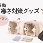 猫の車移動で使う暑さ寒さ対策グッズのイメージ