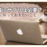 パソコンのそばでくつろぐシニア猫とサプリについて考えるイメージ