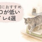 入り口が低い猫用トイレと高齢の猫
