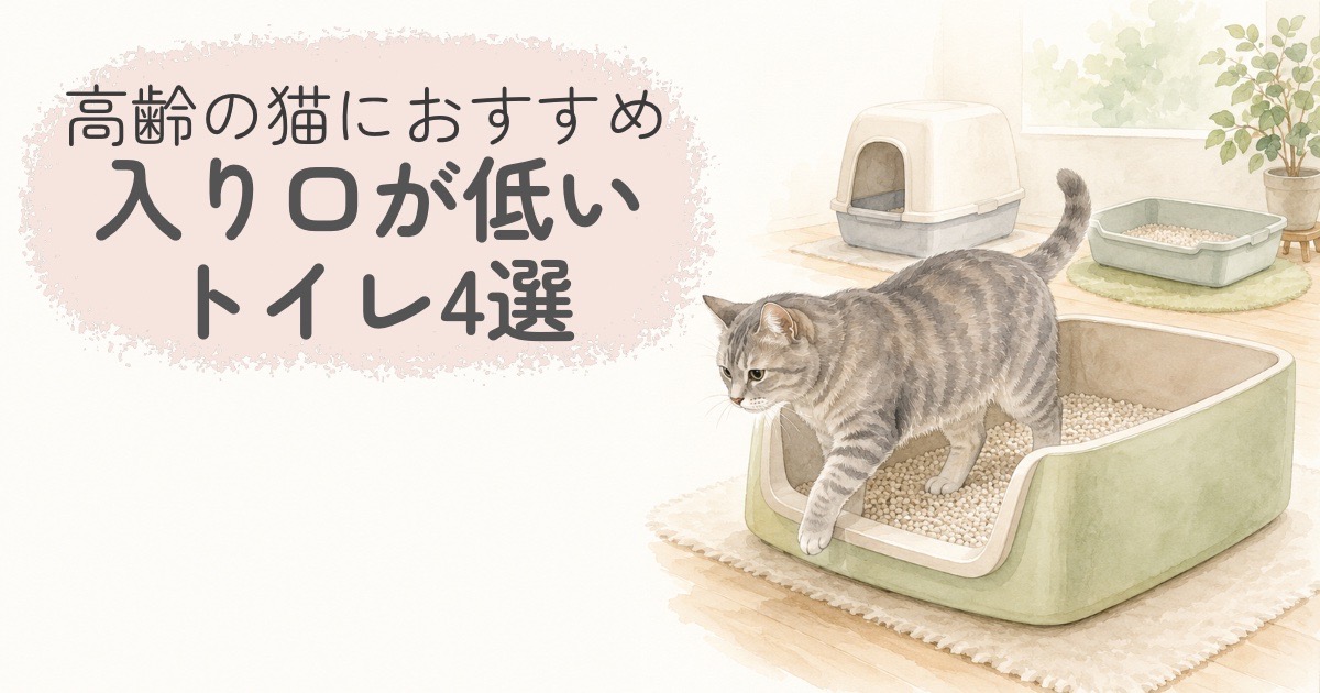 入り口が低い猫用トイレと高齢の猫