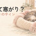 寒そうに丸くなる猫を描いた冬のアイキャッチ