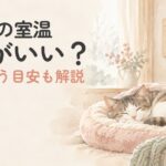冬の室内で暖かく過ごす猫のイメージ