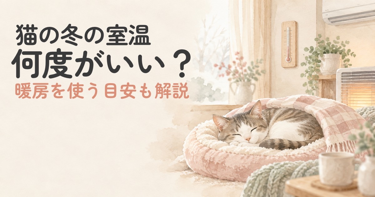 冬の室内で暖かく過ごす猫のイメージ