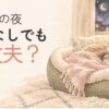 猫は冬の夜に暖房なしでも大丈夫かを考えるアイキャッチ