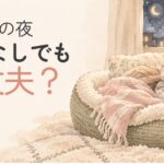 猫は冬の夜に暖房なしでも大丈夫かを考えるアイキャッチ