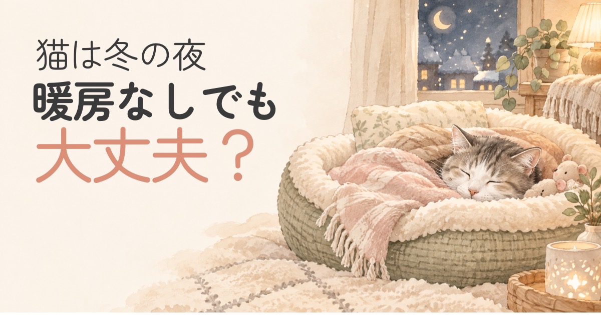 猫は冬の夜に暖房なしでも大丈夫かを考えるアイキャッチ