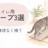 猫用トイレの前に設置したスロープを上る高齢の猫
