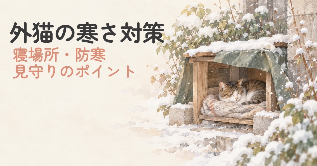 外猫の冬の寒さ対策をイメージしたやさしい水彩イラスト