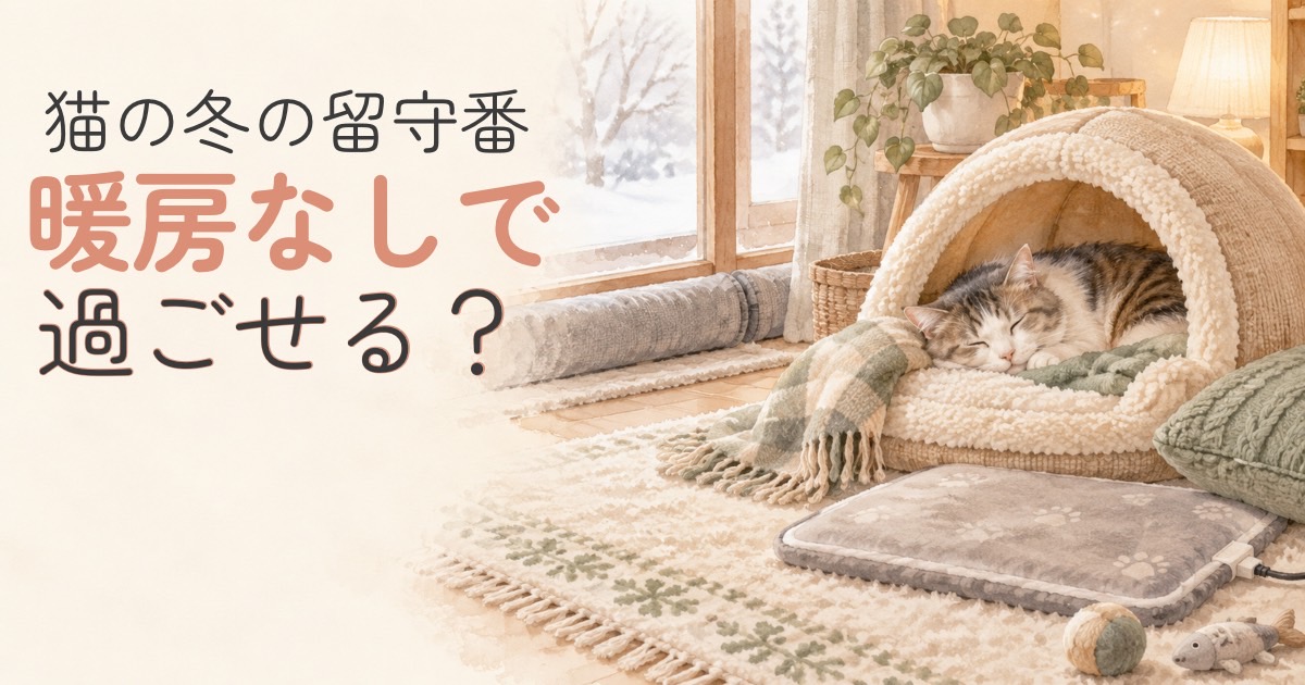 冬の留守番に備えて暖かい寝床で過ごすシニア猫のイラスト