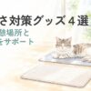 猫の暑さ対策グッズと涼しい休憩場所のイラスト